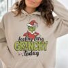 il 1000xN.5555806829 iz5u - The Grinch Store